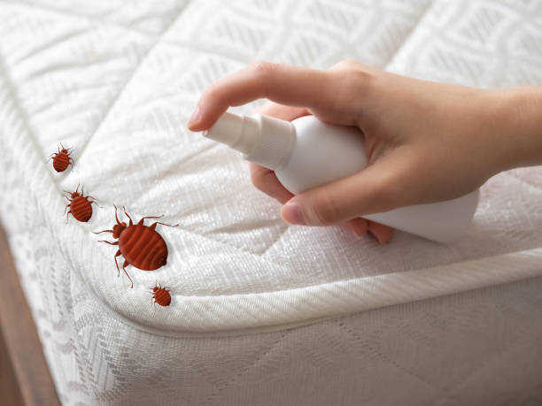 Best Residential Pest Control  in Bellville, OH